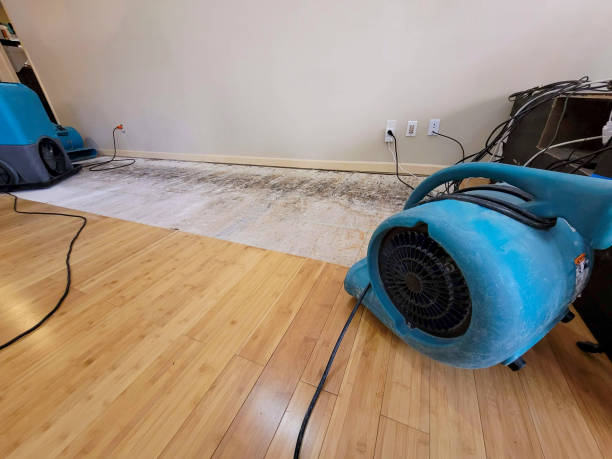 Professional Water Damage Repair technician working in Reva, VA